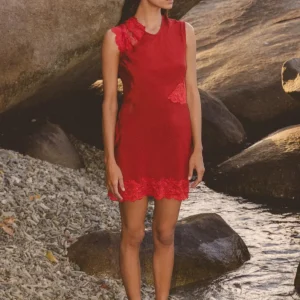 Lily Silk Lace Mini Dress